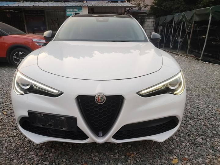 Alfa Romeo Stelvio 2020 2.0T 280HP Luxury photo 2