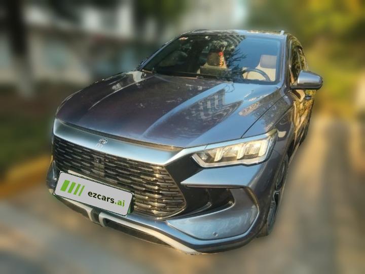 Song Pro EV 2023 Champion DM-i 110KM Excellence