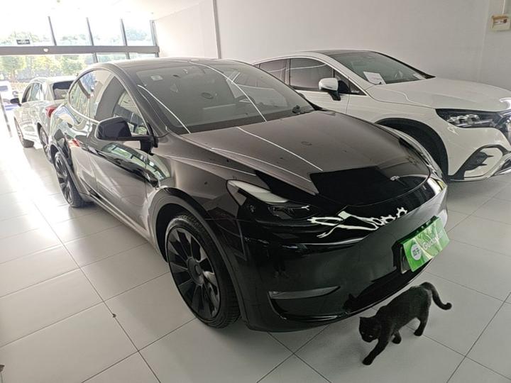 Model Y 2021 Standard Range RWD photo 3