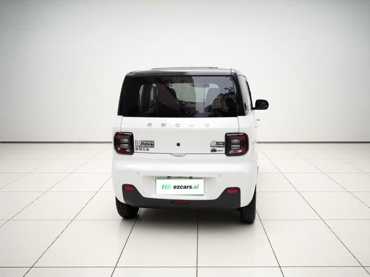 2023 Panda mini photo 3