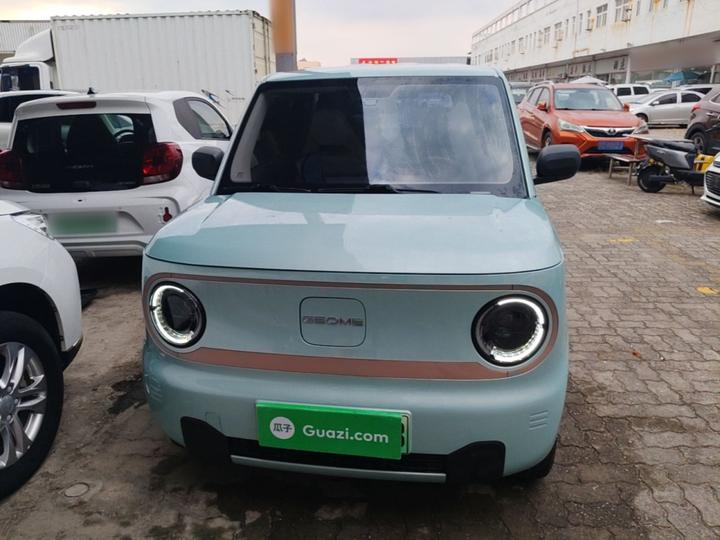 2023 Panda mini 200km Endurance Bear photo 2