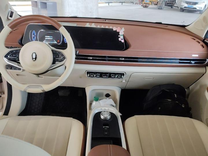 Good Cat 2022 400km Standard Range Premium LFP photo 5