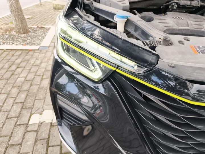 RX5 EV 2020 ePLUS Luxury photo 7