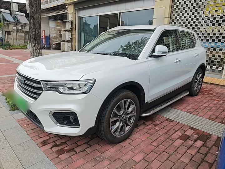H7 2018 Blue Label H7 2.0T AT Smart