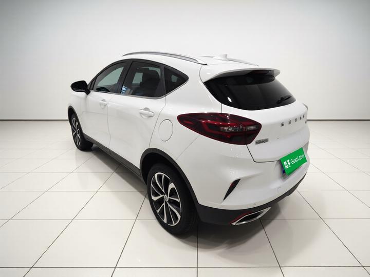 Emgrand GS 2020 1.4T CVT photo 4