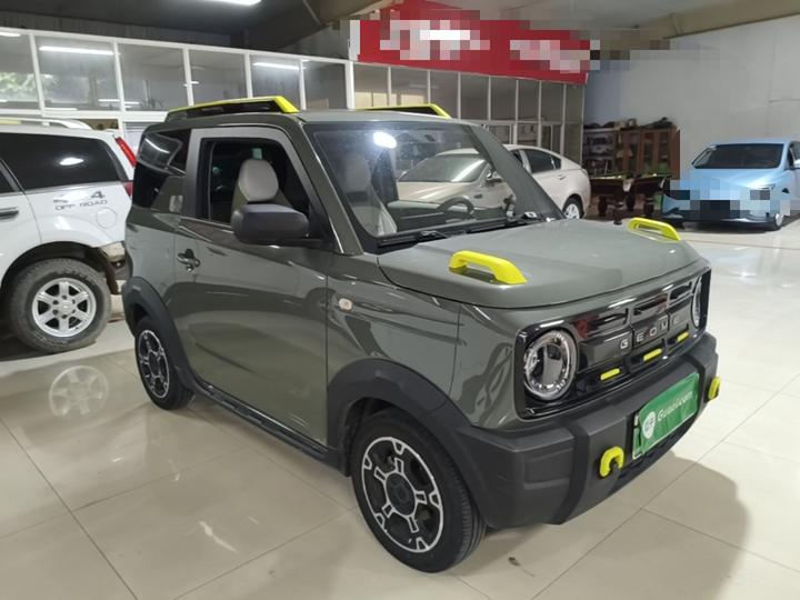 2025 210km Panda photo 3