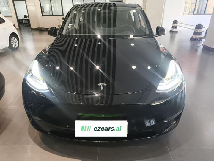 Model Y 2021 Standard Range RWD photo 2
