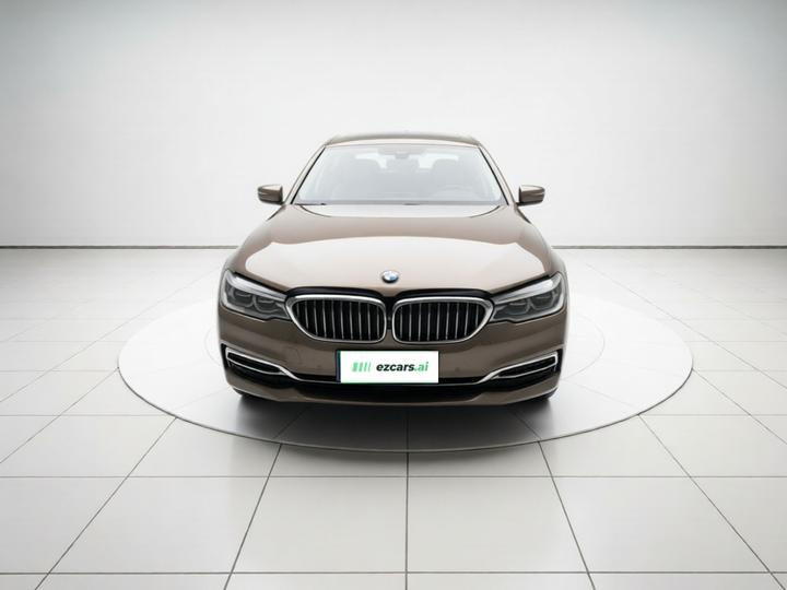 5 Series 2020 530Li Leading Luxury photo 2