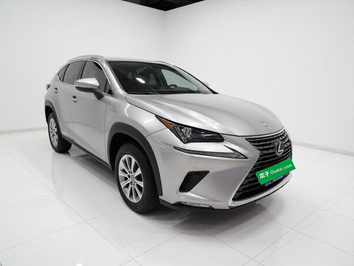 NX 2020 200 FWD China V photo 3