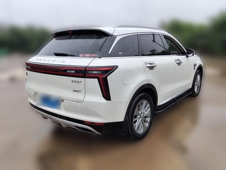 2021 260T AT 48V Mild Hybrid photo 6