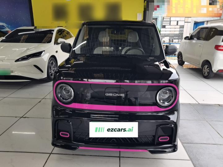 2025 210km Panda photo 2