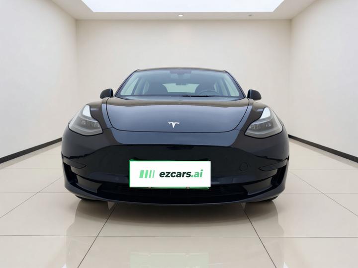 Model 3 2022 RWD photo 2