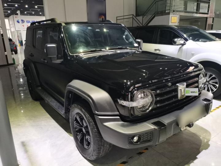 300 2021 Off-road 2.0T Conqueror photo 3