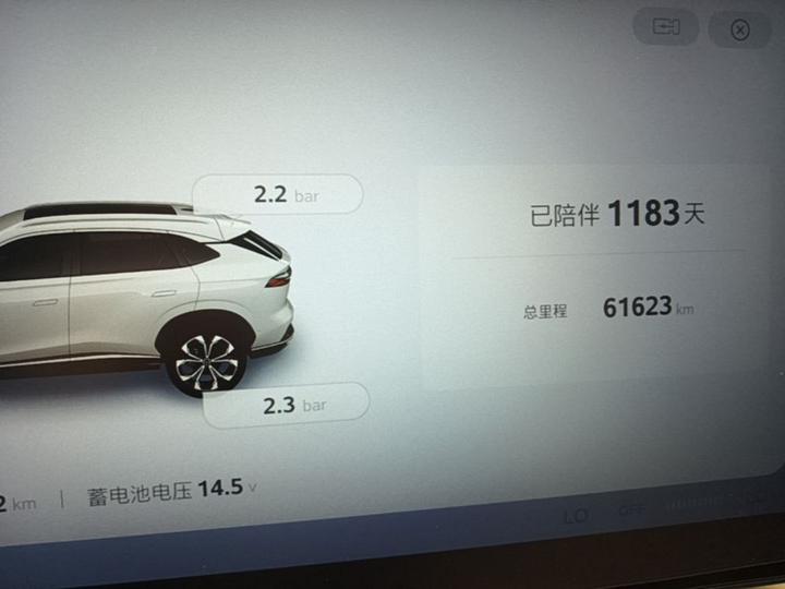 RX5 2023 1.5T Luxury photo 4