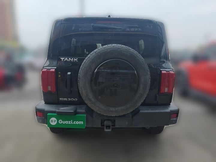 300 2023 Off-road 2.0T photo 3