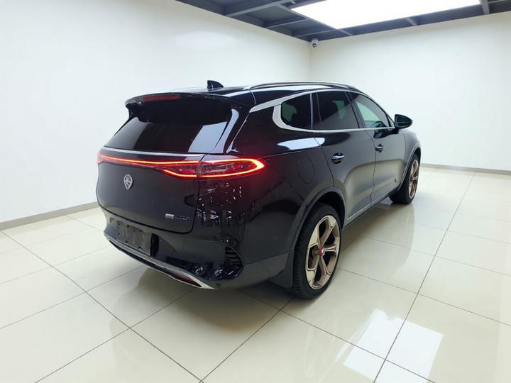 X 2020 PHEV Flagship photo 4