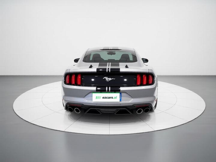 Mustang Parallel Import photo 5