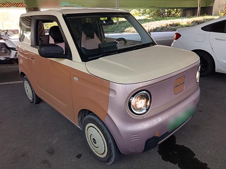 2023 Panda mini 200km Endurance Bear photo 3