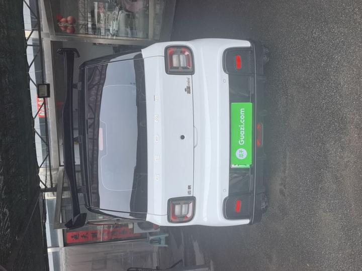 2025 210km Panda photo 4
