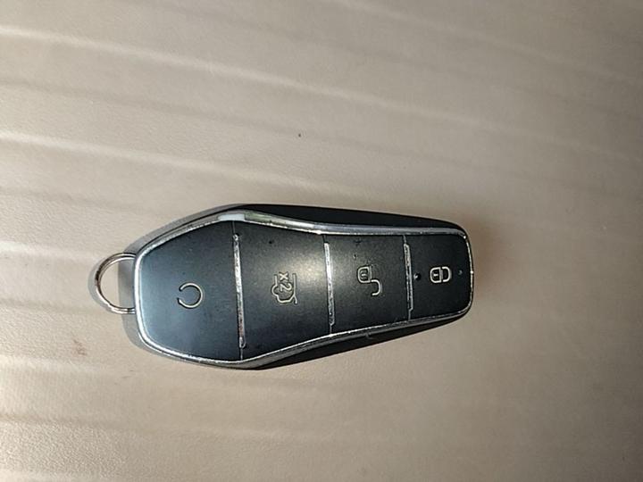 Yuan PLUS 2024 Honor 510KM photo 8