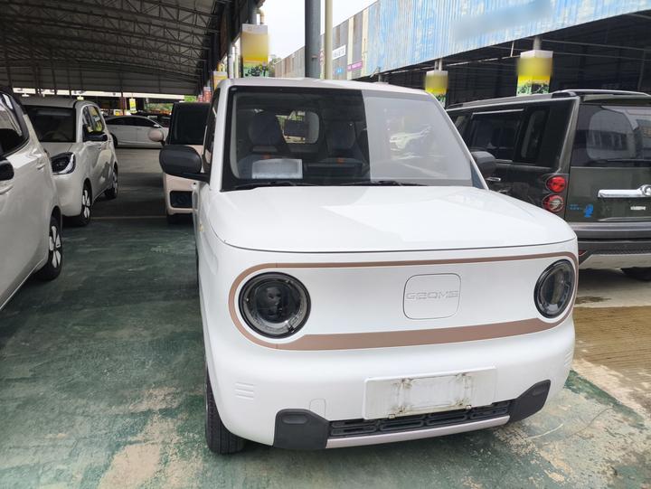 2023 Panda mini 200km Endurance Bear photo 4