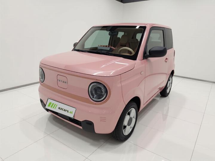 2024 Panda mini 200km Endurance Bear