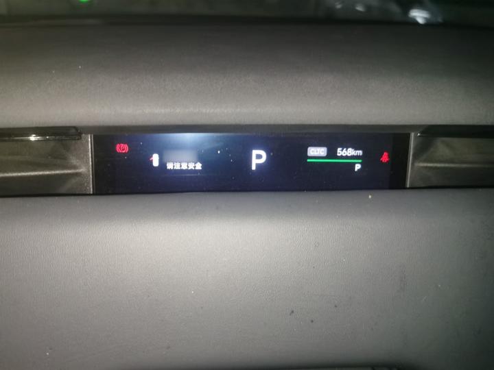 Voyah 2024 AWD photo 4