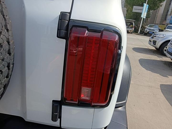 300 2021 Off-road 2.0T photo 7
