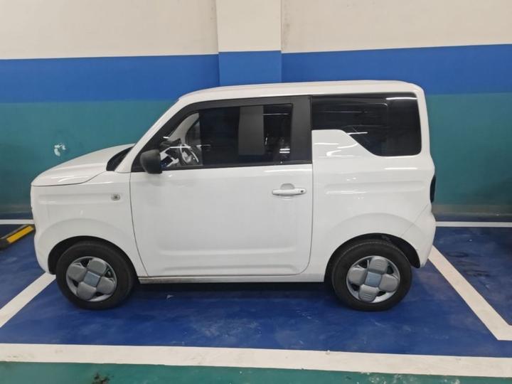 2023 Panda mini 200km Endurance Bear photo 4