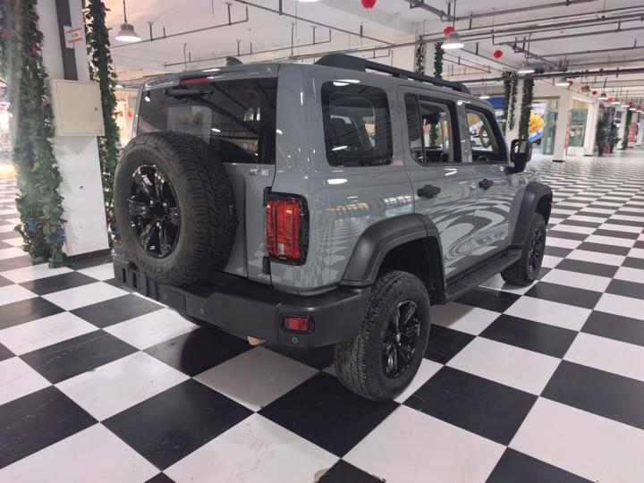 300 2021 Off-road 2.0T Conqueror photo 6