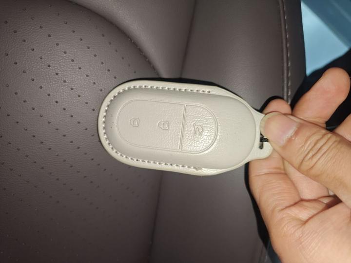 Leapmotor C11 2023 EV 500 Smart photo 8