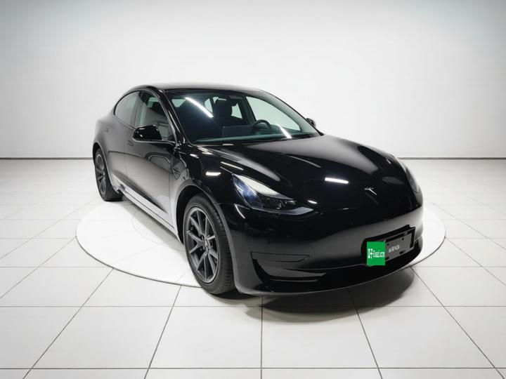 Model 3 2021 Standard Range RWD Upgraded 3D6 photo 3