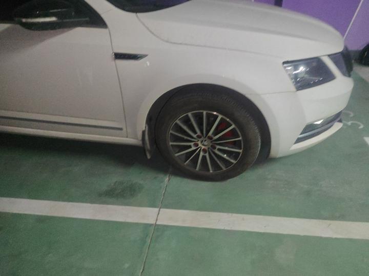 Octavia 2018 1.6L AT Luxury photo 8