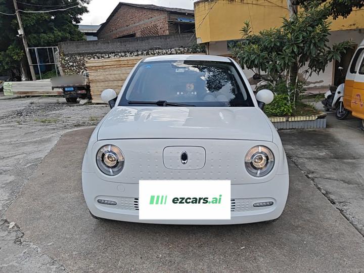 2019 351km photo 2