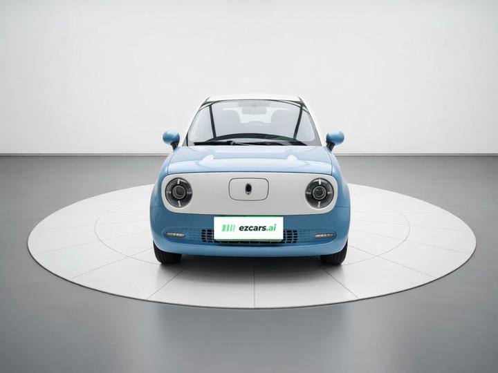 2021 351km Standard photo 2