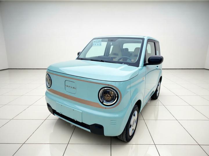 2023 Panda mini 200km Endurance Bear