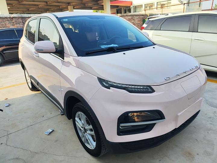 Dayun Yuehu 2023 300 Standard photo 3