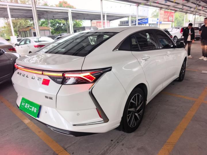 Yixuan 2020 230T AT photo 6
