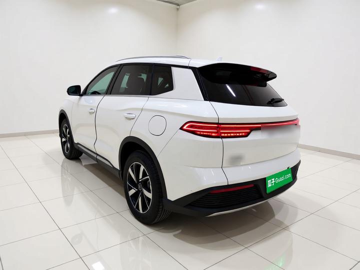 Song Pro EV 2024 Honor DM-i 71KM Pilot photo 4