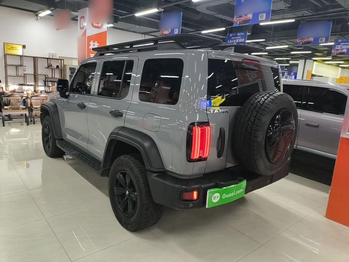 300 2021 Off-road 2.0T Conqueror photo 4