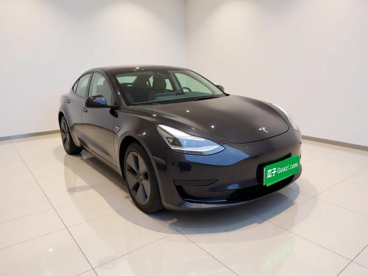 Model 3 2021 Facelift Standard Range RWD Upgraded 3D1 photo 3