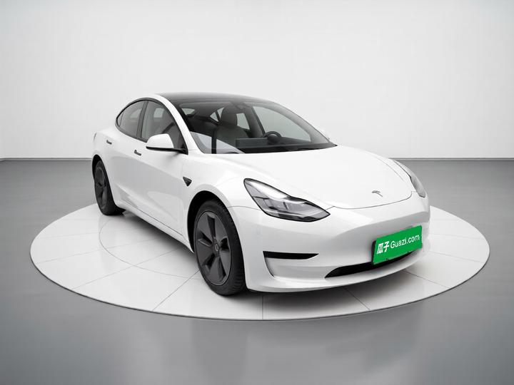 Model 3 2021 Standard Range RWD Upgraded 3D6 photo 3