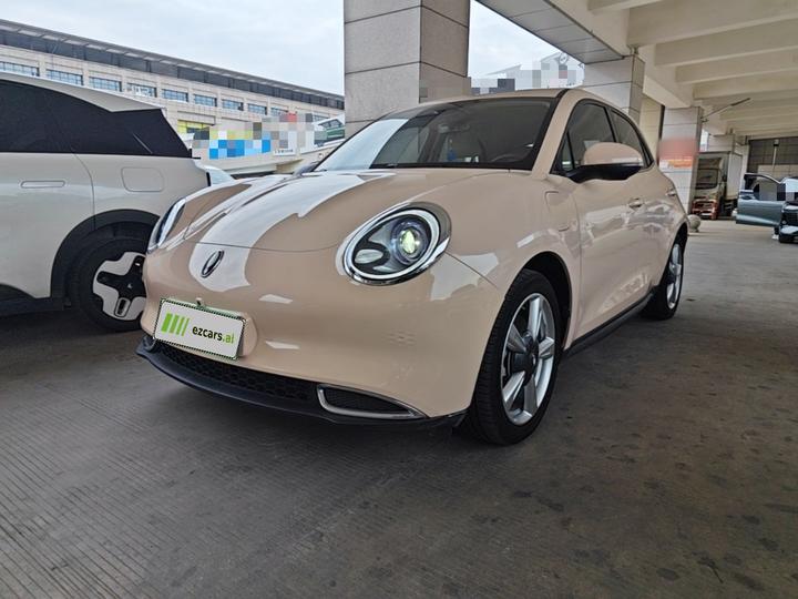 Good Cat 2023 401km Standard Range Luxury LFP