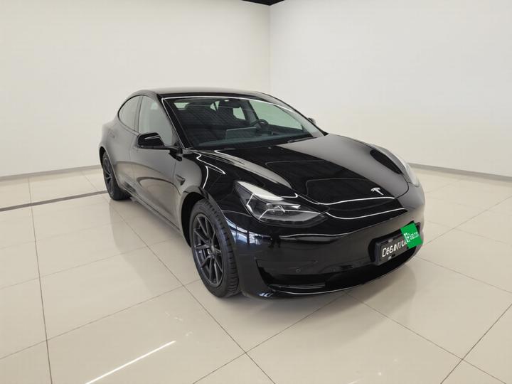 Model 3 2021 Facelift Standard Range RWD Upgraded 3D1 photo 3