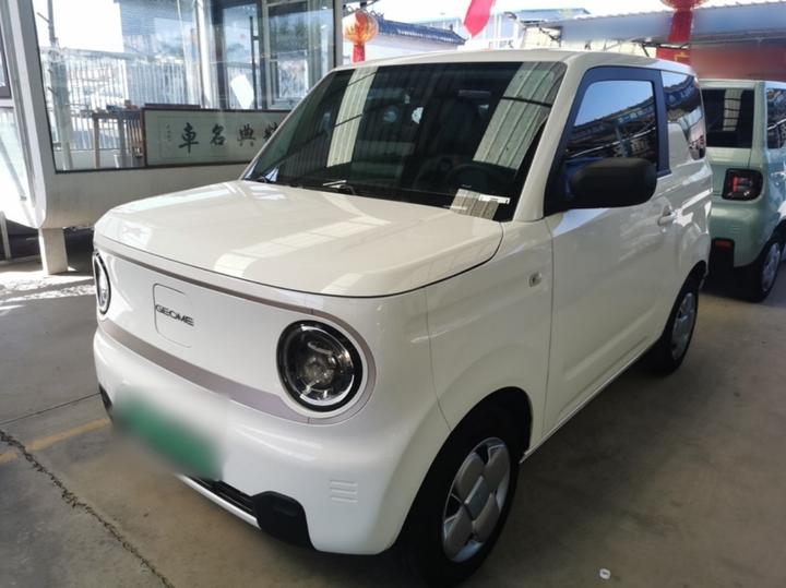 2023 Panda mini 120km