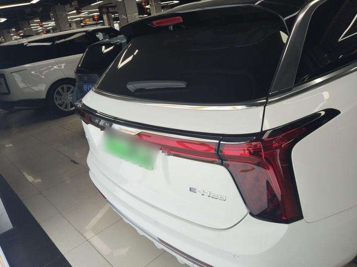 E-HS9 2022 660km 6-Seater photo 4
