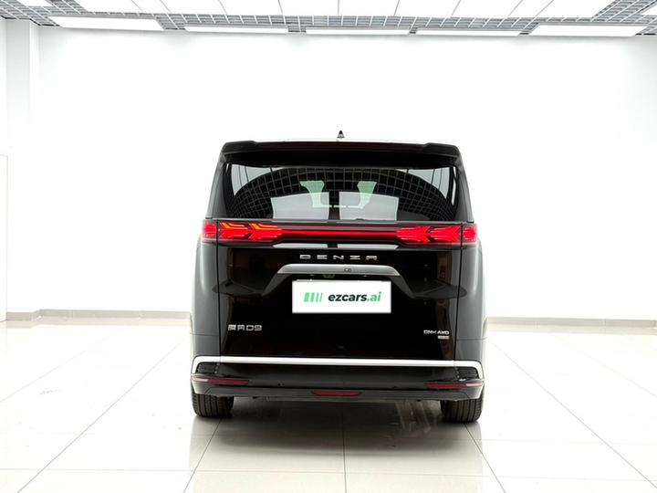 D9 2025 DM-i AWD photo 4