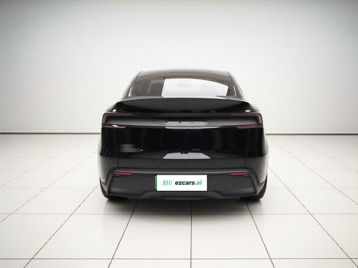 Model Y L 2025 Long Range AWD photo 5