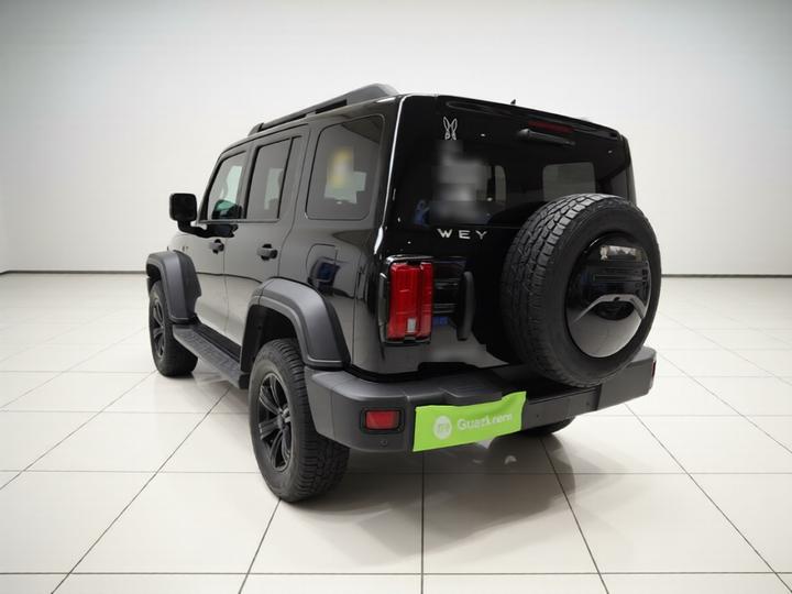300 2021 Off-road 2.0T Conqueror photo 4