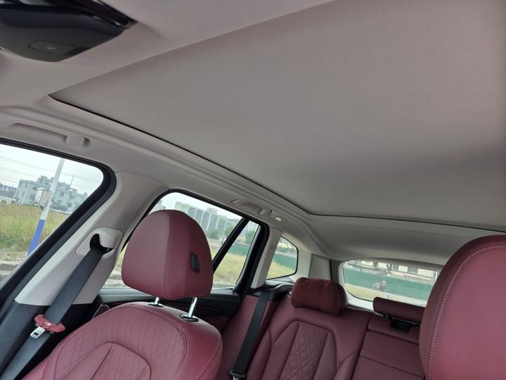 X3 2023 xDrive30i Leading M Night Package photo 8